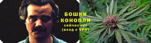 дмт Нягань