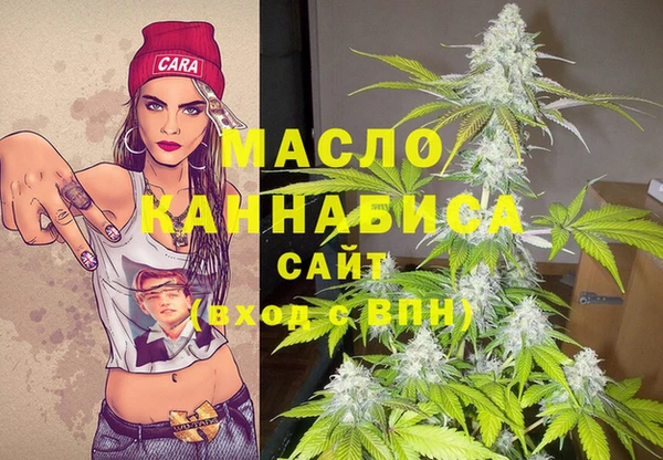 дмт Нягань