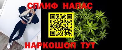 прущие грибы Обь