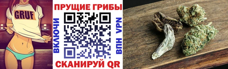 наркота  Ревда  Галлюциногенные грибы Cubensis 