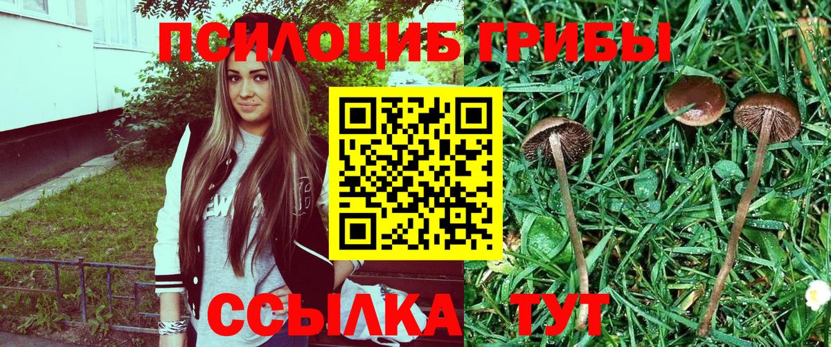 Галлюциногенные грибы Magic Shrooms  Галлюциногенные грибы прущие грибы  Вход с VPN  Ревда 